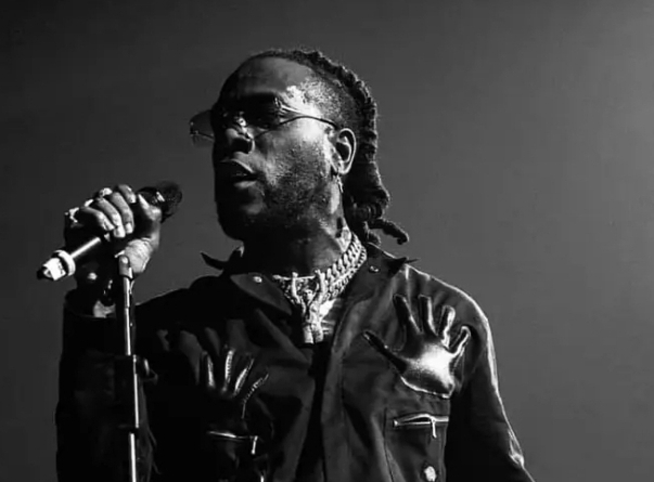 I don’t like people on Twitter – Burna boy